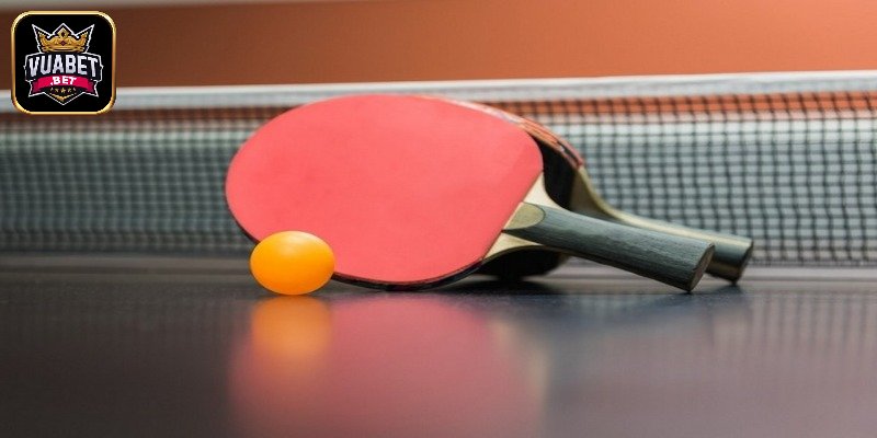 Cá Cược Bóng Bàn Là Gì Và Cách Để Bắt Kèo Thông Minh