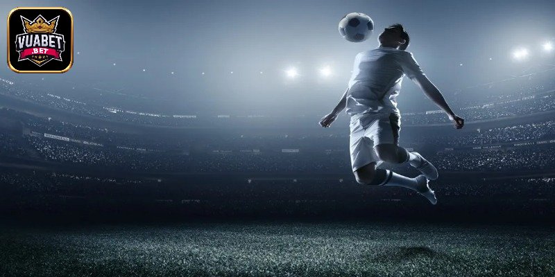 Giới thiệu đôi nét về sảnh thể thao VR