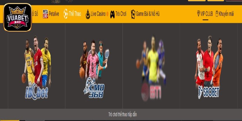 Tổng quan về sảnh thể thao Vuabet